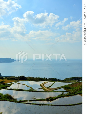 在東部的稻田梯田 在東部的稻田梯田 30460648