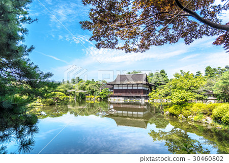 京都平安神宮靖國神社初夏 30460802