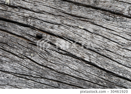The surface of the old cracked pine The surface of the old cracked pine 30461920