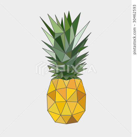Polygonal pineapple fruit isolated Polygonal pineapple fruit isolated 30462593