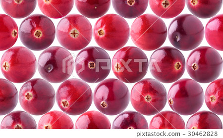 Seamless pattern with cranberries 30462828