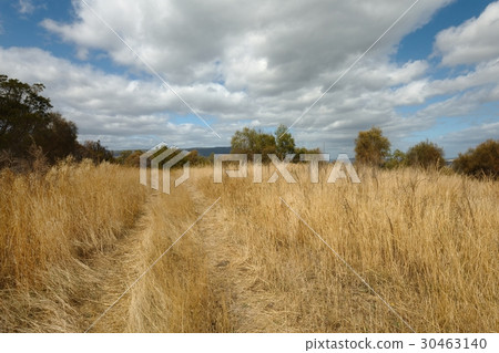 Dry autumn meadow 30463140