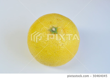 湘南黃金〉 30464045