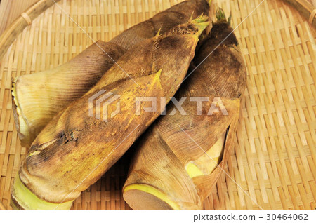 Kyoto bamboo shoots Kyoto bamboo shoots 30464062