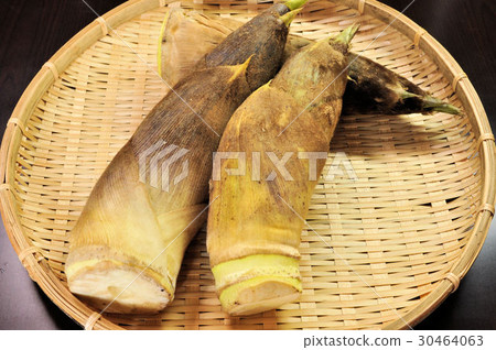 Kyoto bamboo shoots Kyoto bamboo shoots 30464063