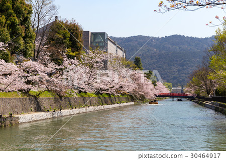 Okazaki · Sakura Corridor Okazaki · Sakura Corridor 30464917