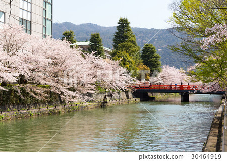 Okazaki · Sakura Corridor Okazaki · Sakura Corridor 30464919