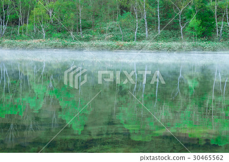A morning mist spring fresh green pond 30465562