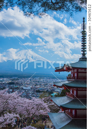 Shinagurayama淺間公園5層塔，富士山和櫻花 30465612