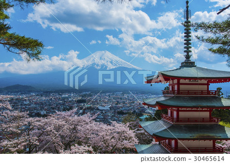 Shinagurayama淺間公園5層塔，富士山和櫻花 30465614