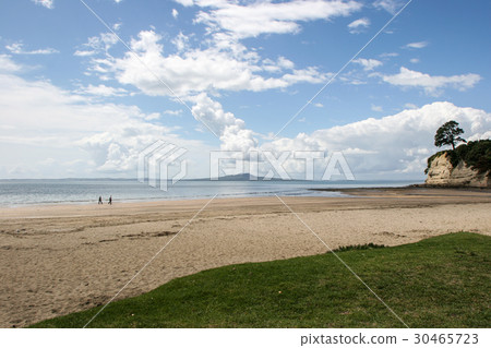在新西蘭的海灘 30465723