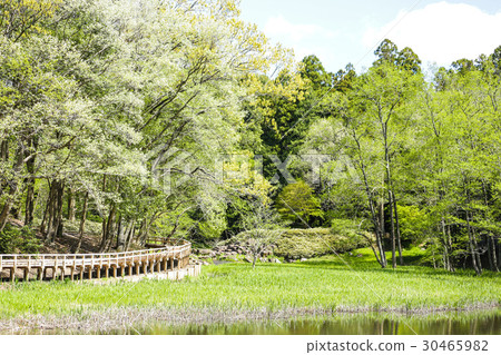 Nanatsu dong公園 Nanatsu dong公園 30465982