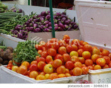 Vegetable along the market (Singapore) Vegetable along the market (Singapore) 30466155