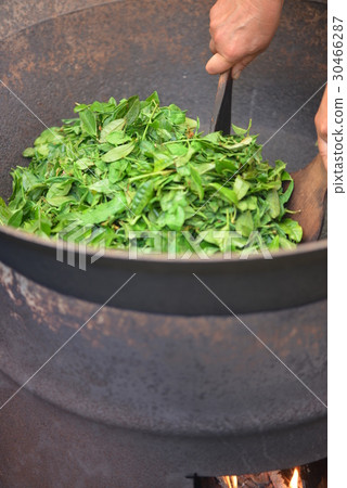 Landscape for roasting new tea 30466287