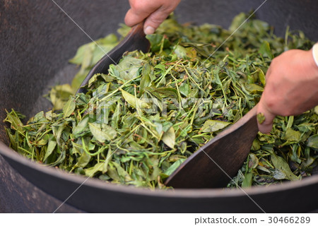 Landscape for roasting new tea 30466289