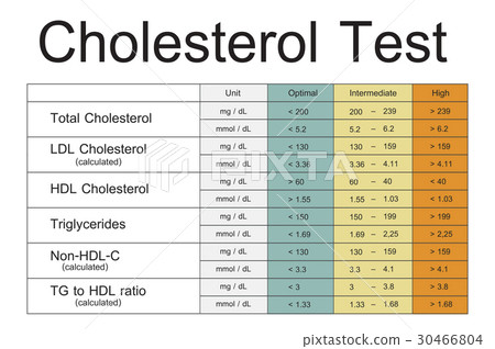 Blood Cholesterol Report Test Healthcare 30466804