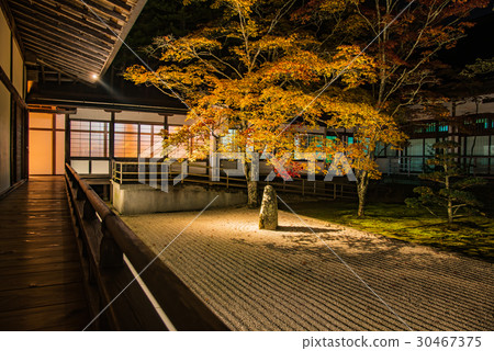 Wakayama Koya mountain Kimugami-ji Temple garden Light-up of autumn leaves night viewing attitude 30467375