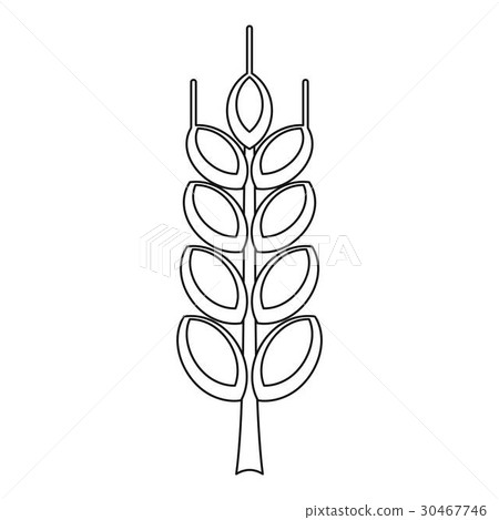 Ripe spike icon, outline style 30467746