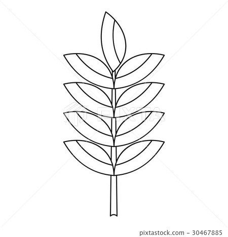 Rye spica icon, outline style 30467885