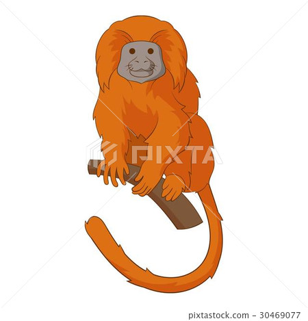 Golden lion tamarin icon, cartoon style 30469077
