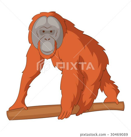 Orangutan icon, cartoon style 30469089