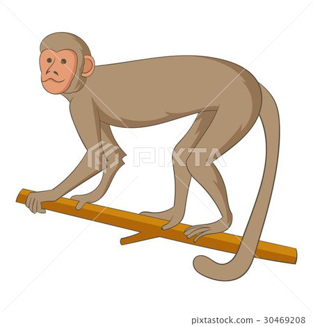 Macaque icon, cartoon style Macaque icon, cartoon style 30469208