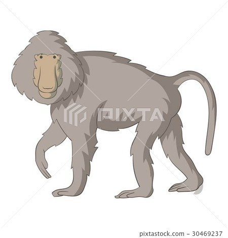 Baboons icon, cartoon style 30469237