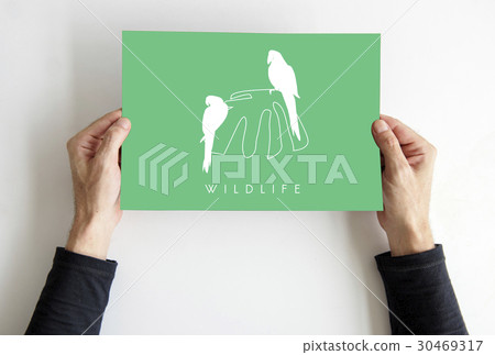 Animal Wildlife Word with Parrot Graphic 30469317