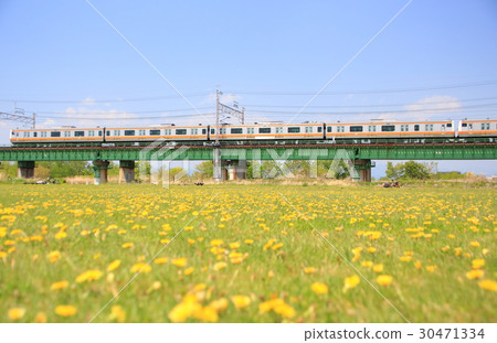 Spring Tamagawa and Chuo Line 30471334