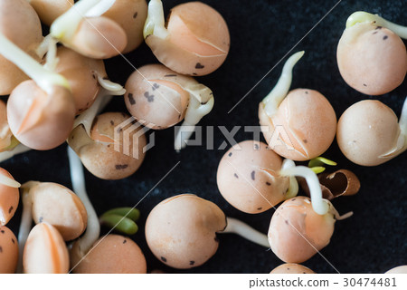 fresh sprouts fresh sprouts 30474481