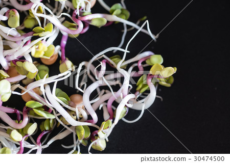 fresh sprouts fresh sprouts 30474500