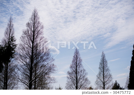 初夏藍天假日圖像 30475772