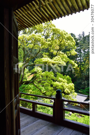 Shogyo Sanjyomadera 30476077