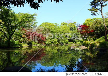 Arisugawa宮紀念公園 Arisugawa宮紀念公園 30476635