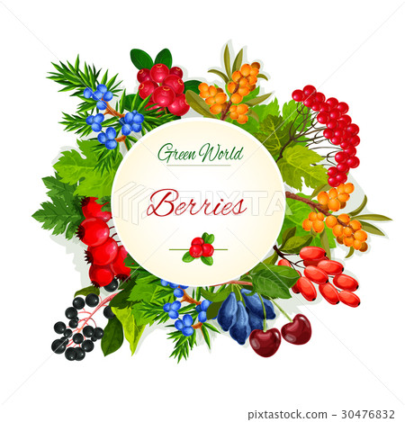 Vector poster of wild berries and ruits 30476832