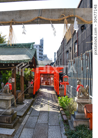 富士淺間神社 30477148