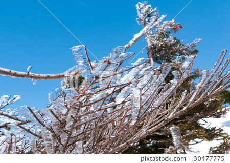 Crude ice Crude ice 30477775