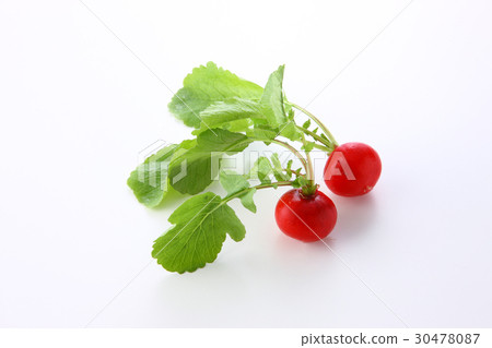 Radish 30478087
