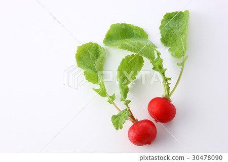 Radish Radish 30478090