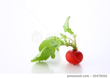 Radish Radish 30478092