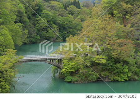 Nagano designated designated scenic spot Kume Kaido / Kume Bridge Nagano designated designated scenic spot Kume Kaido / Kume Bridge 30478103