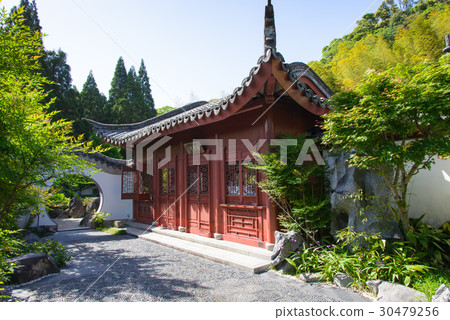 Cemetery garden 30479256