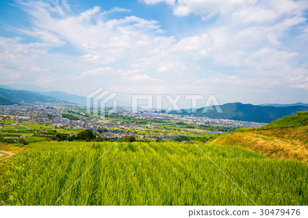 Abandoned rice terrace Abandoned rice terrace 30479476