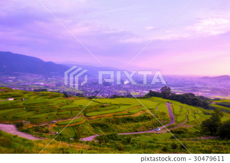 Abandoned rice terrace Abandoned rice terrace 30479611