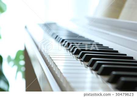 電子鋼琴 30479623