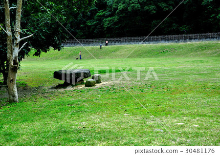 白鷺鷥,動物,鳥,飛翔,河邊.風景 30481176