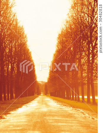 Versailles, France 30482818