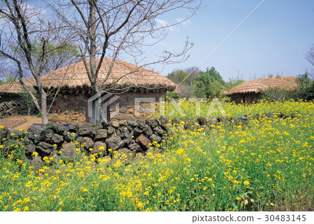 濟州島西歸浦市Seosun濟州民俗村 30483145