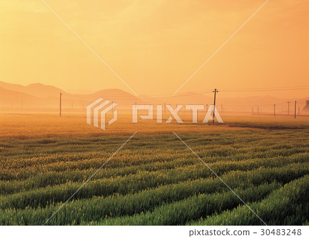 Gangjin-gun, Jeonnam 30483248