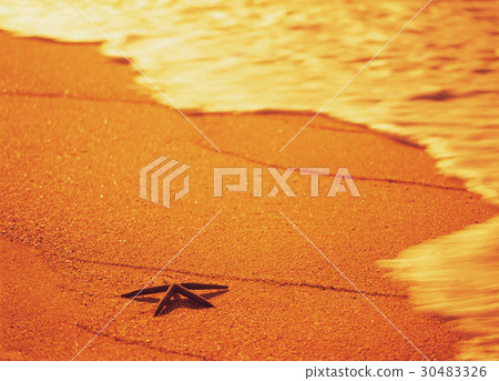 starfish 30483326